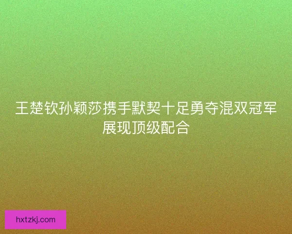 王楚钦孙颖莎携手默契十足勇夺混双冠军展现顶级配合